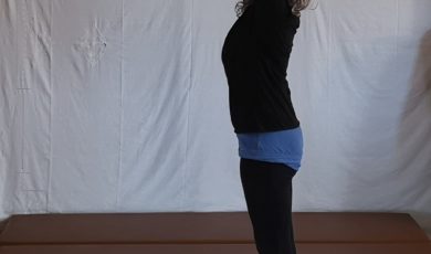 Flexion – extension à la verticale